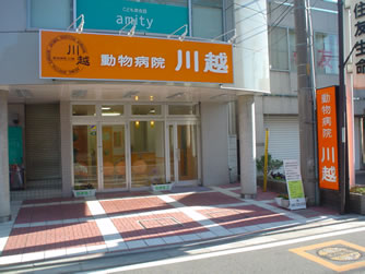 �����a�@��z�@�O��